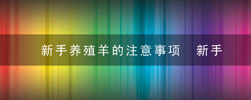 新手养殖羊的注意事项 新手养殖羊的注意事项有哪些